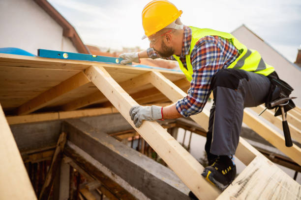 Best Roof Gutter Cleaning  in Sandusky, OH